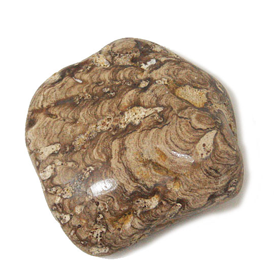 ストロマライト(stromatolite)