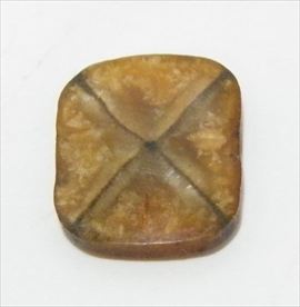 キャストライト(Chiastolite)