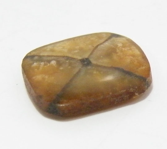 キャストライト(Chiastolite) 1点物ルース裸石