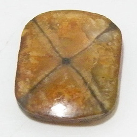 キャストライト(Chiastolite)