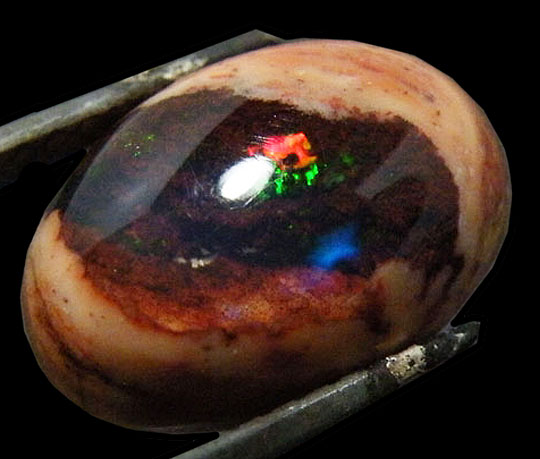 オパール(Opal)