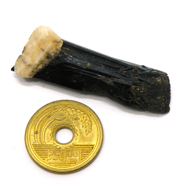 エジリン輝石(Aegirine) 原石