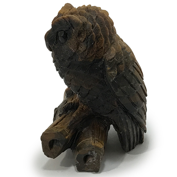 タイガーアイ(Tiger eye) フクロウ ふくろう 梟