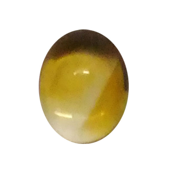 Vg(Citrine) VR΃[Xi