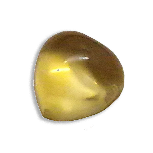 Vg(Citrine) VR΃[Xi