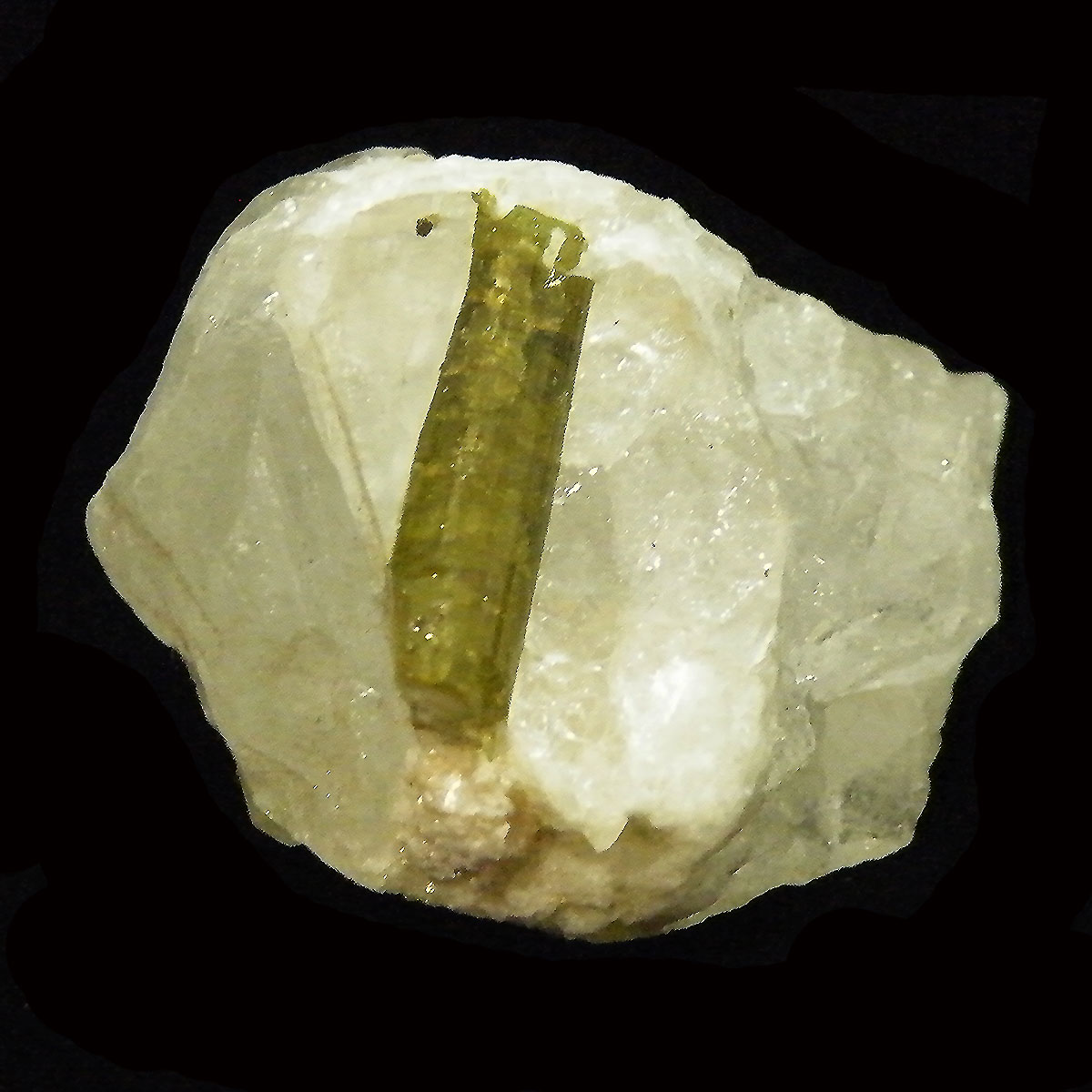 g}on(Tourmaline on quartz) 