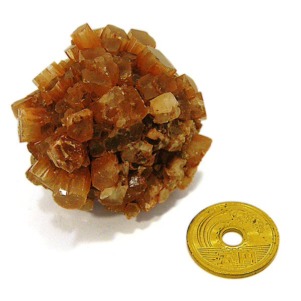 ASiCg(Aragonite)