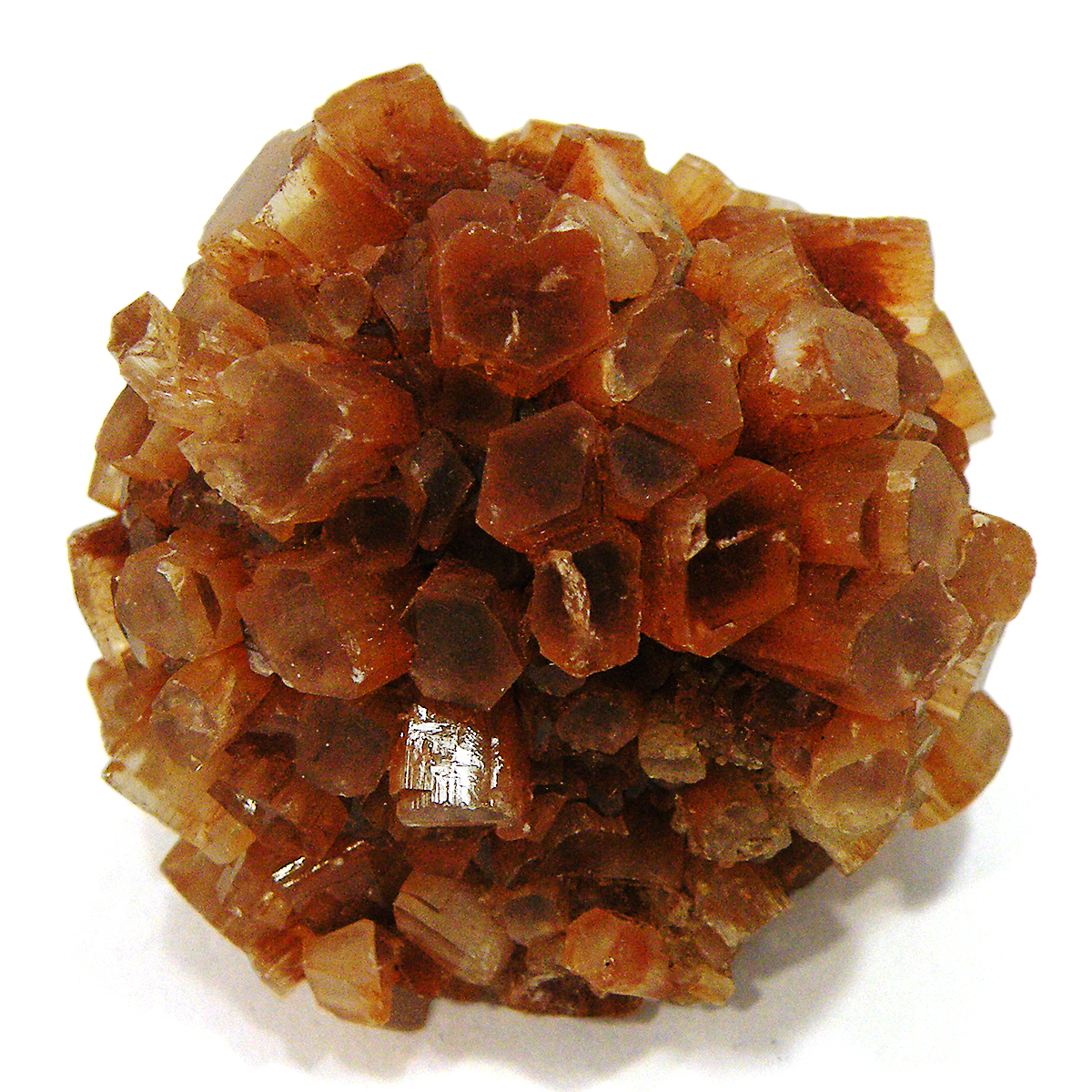 ASiCg(Aragonite)