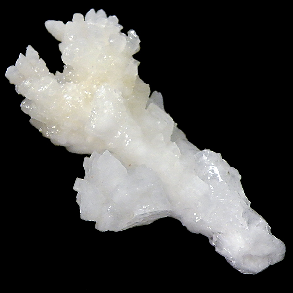 ASiCg(Aragonite)