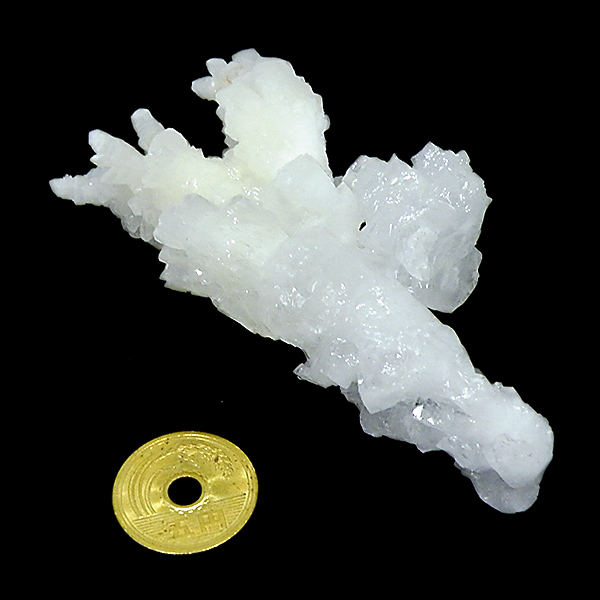 ASiCg(Aragonite)