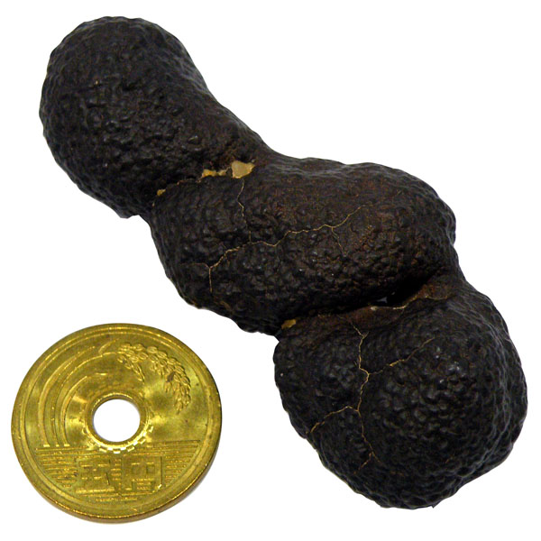 eN^Cg(Tektite)