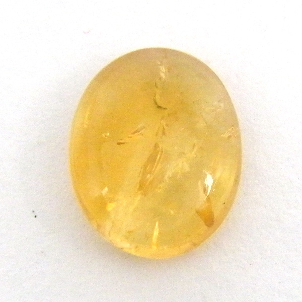 Vg(Citrine) VR΃[Xi