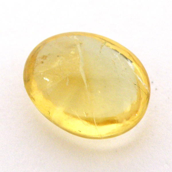 Vg(Citrine) VR΃[Xi