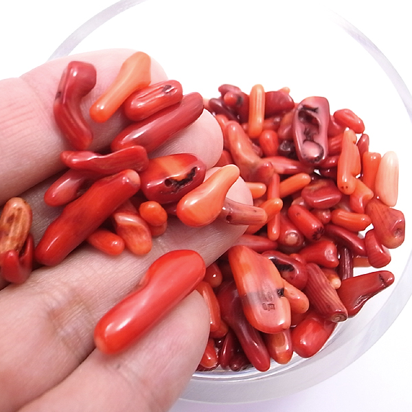 シーバンブーコーラル海竹珊瑚赤色(染色) 天然石ビーズ 販売