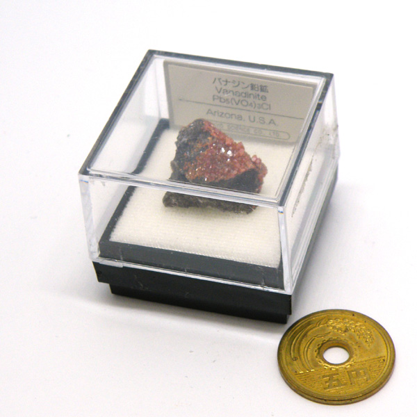バナジン鉛鉱/バナジナイト(Vanadinite) 原石
