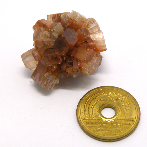 ASiCg(Aragonite) 