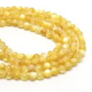 �V�R��1�_���̔̔�