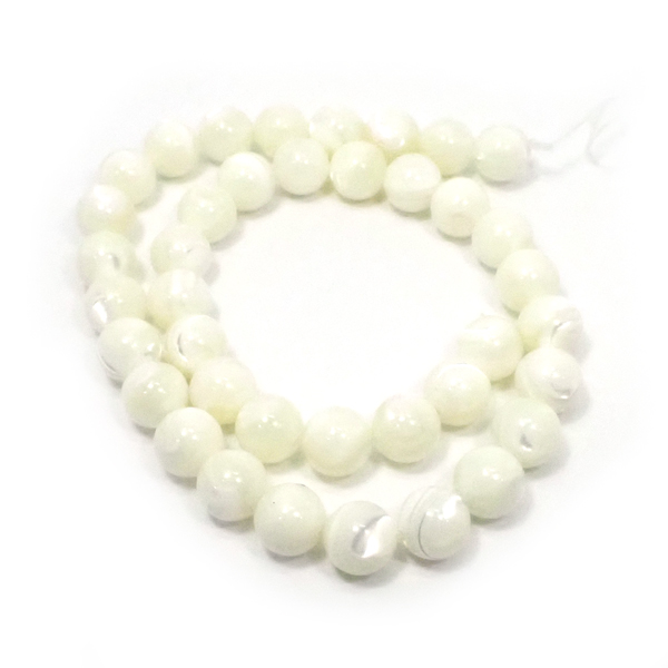 �V�F��/�}�U�[�I�u�p�[��(Shell/Mother of pearl) �V�R�΃r�[�Y �̔�