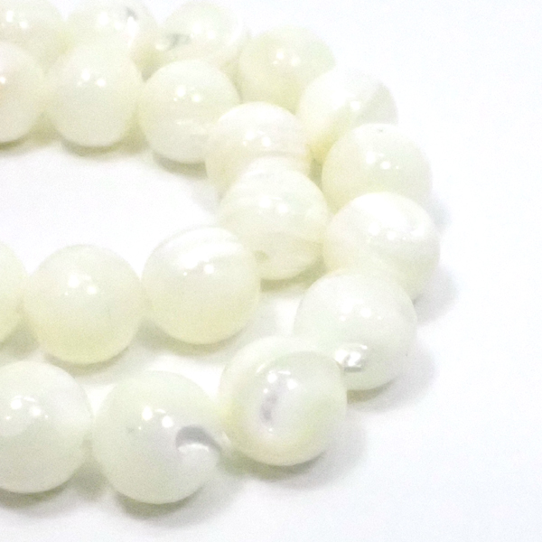 �V�F��/�}�U�[�I�u�p�[��(Shell/Mother of pearl) �V�R�΃r�[�Y �̔�