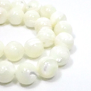 �V�R��1�_���̔̔�