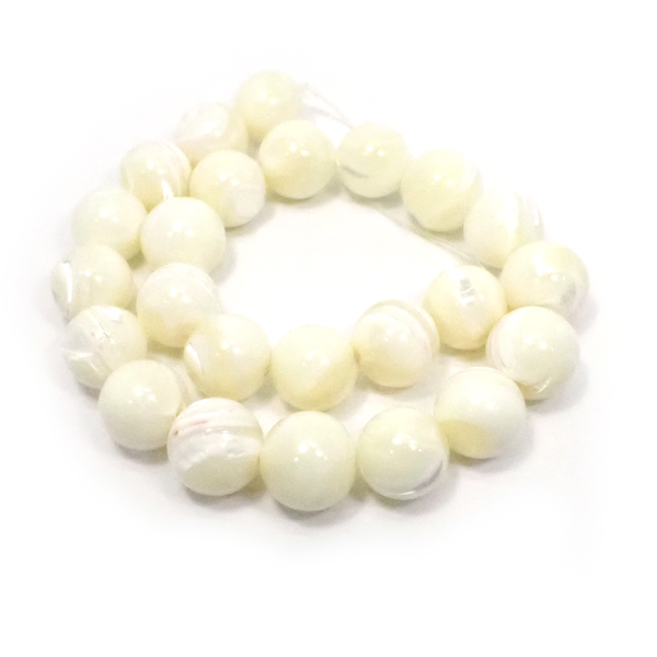 �V�F��/�}�U�[�I�u�p�[��(Shell/Mother of pearl) �V�R�΃r�[�Y �̔�