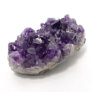 �V�R��1�_���̔̔�