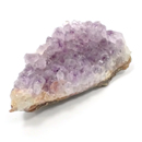 �V�R��1�_���̔̔�