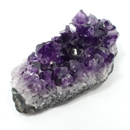 �V�R��1�_���̔̔�