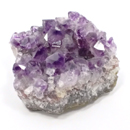 �V�R��1�_���̔̔�