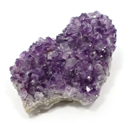 �V�R��1�_���̔̔�