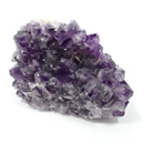 �V�R��1�_���̔̔�