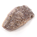 �V�R��1�_���̔̔�