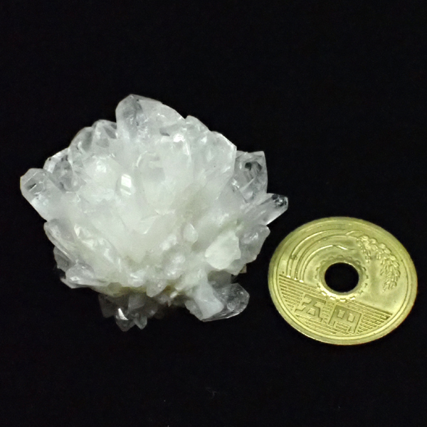 �N�H�[�c����(Quartz)����/�N���X�^�[