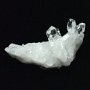 �V�R��1�_���̔̔�