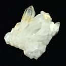 �V�R��1�_���̔̔�