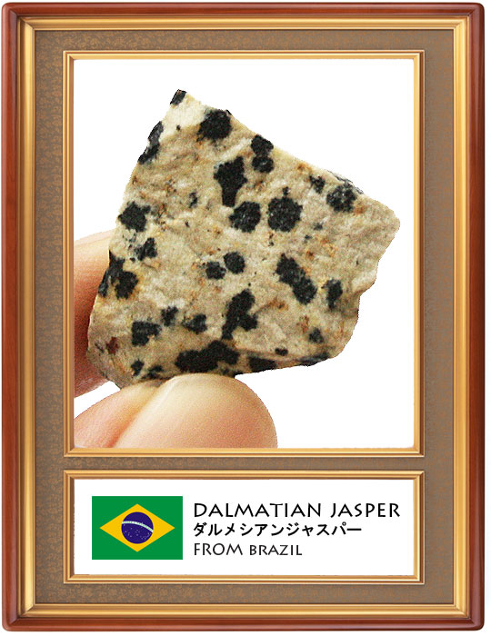 _VAWXp[(Dalmatian Jasper)