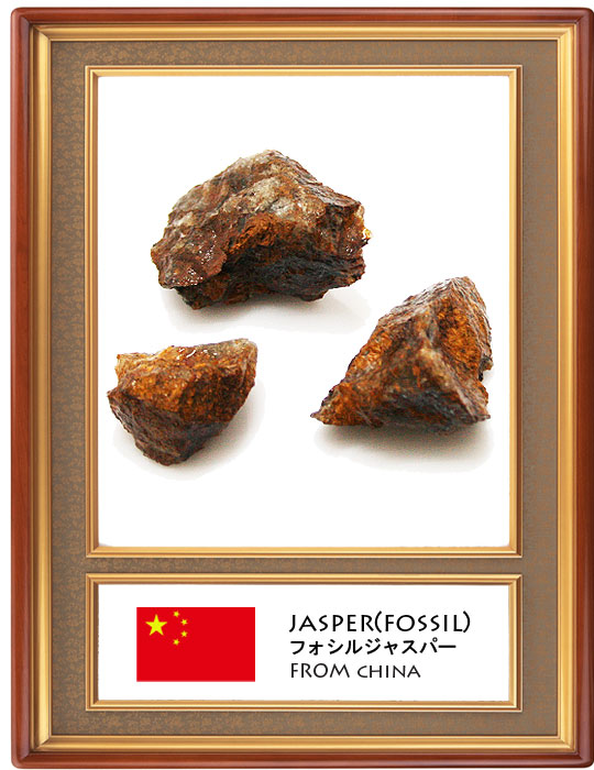 フォッシルジャスパー(Fossil jasper)原石