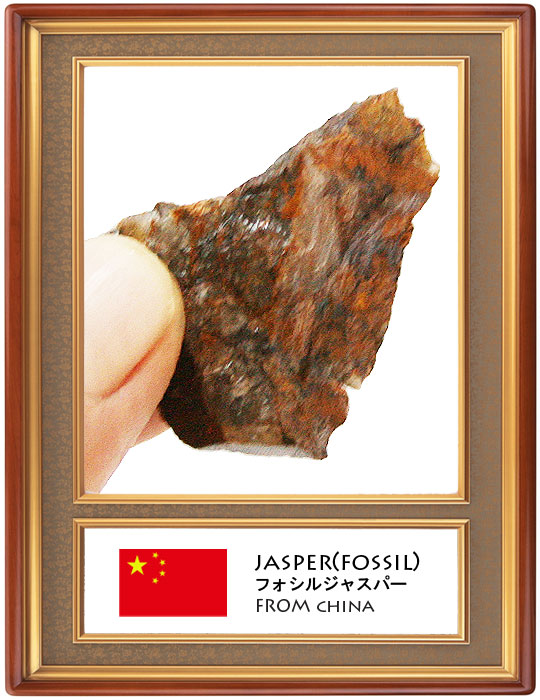 フォッシルジャスパー(Fossil jasper)原石