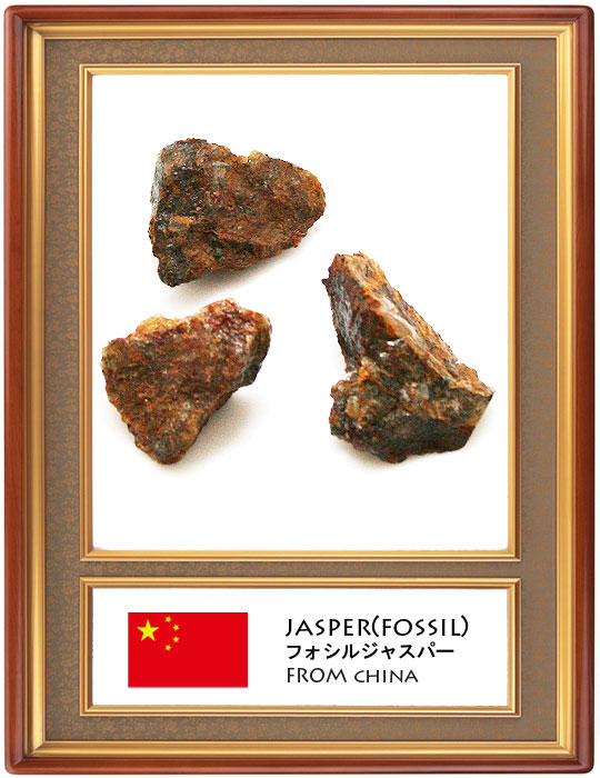フォッシルジャスパー(Fossil jasper)原石