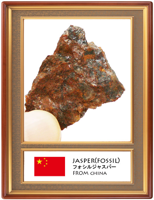 フォッシルジャスパー(Fossil jasper)原石