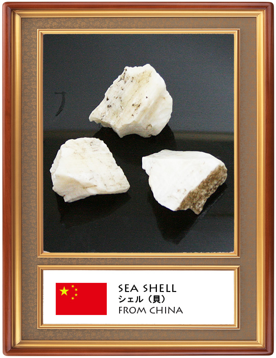 シェル/マザーオブパール(Shell/Mother of pearl)原石